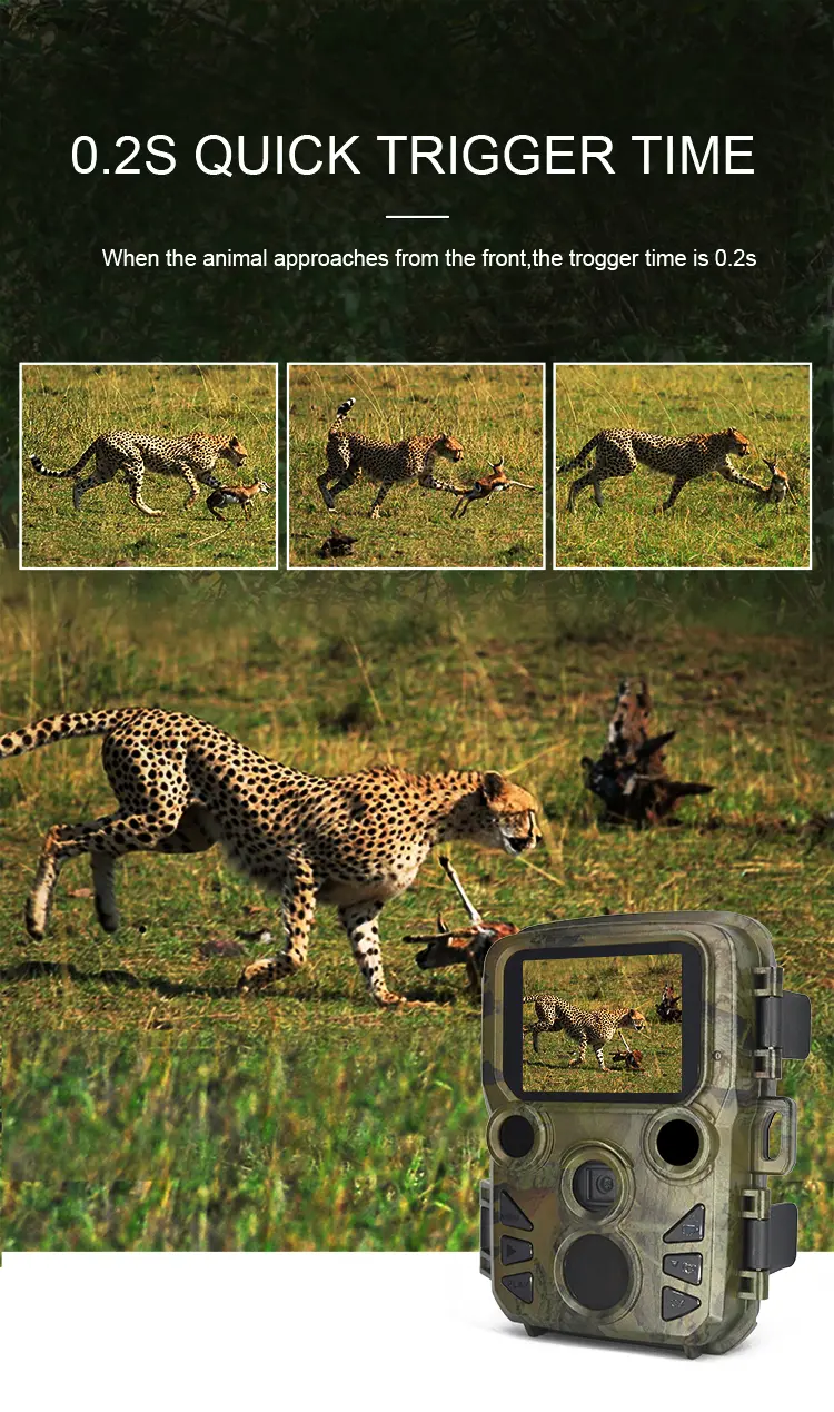 small trail cameras