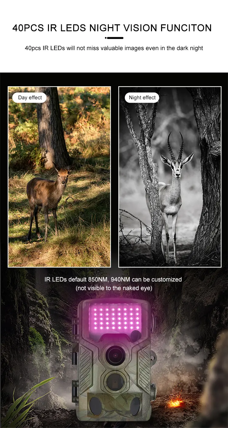 deer camera