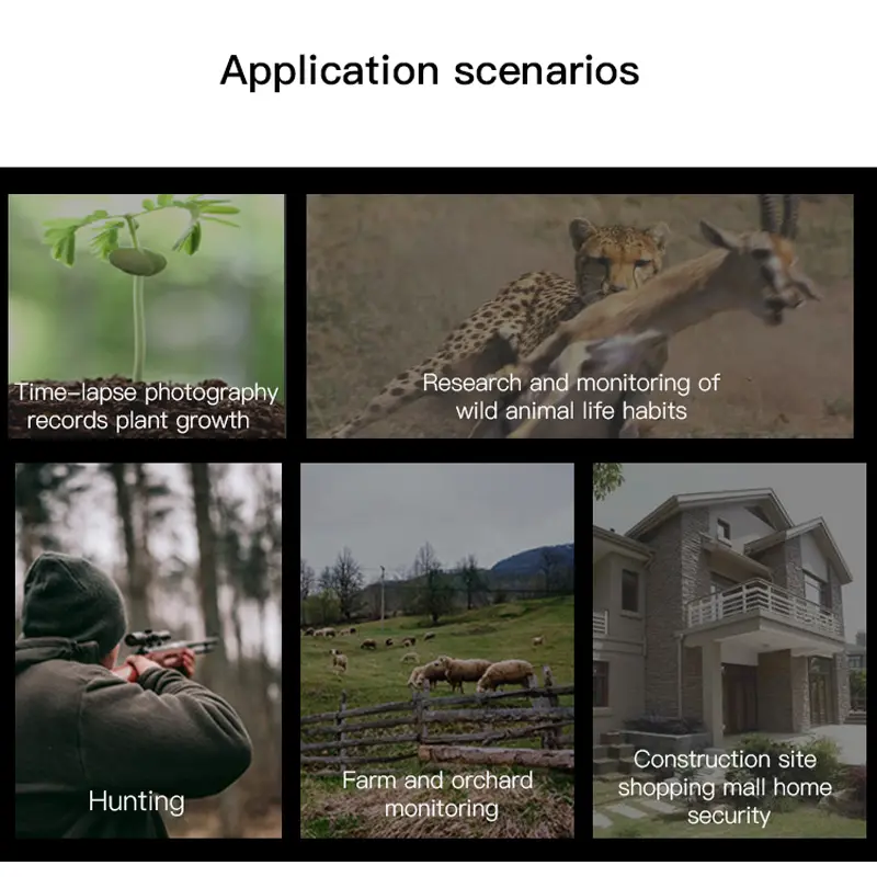 wildlife trail cameras