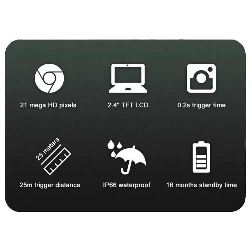 wildlife trail cameras