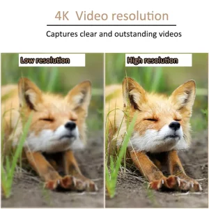 wildkamera
