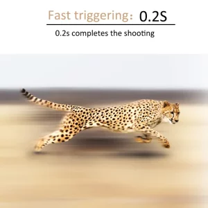 wildkamera