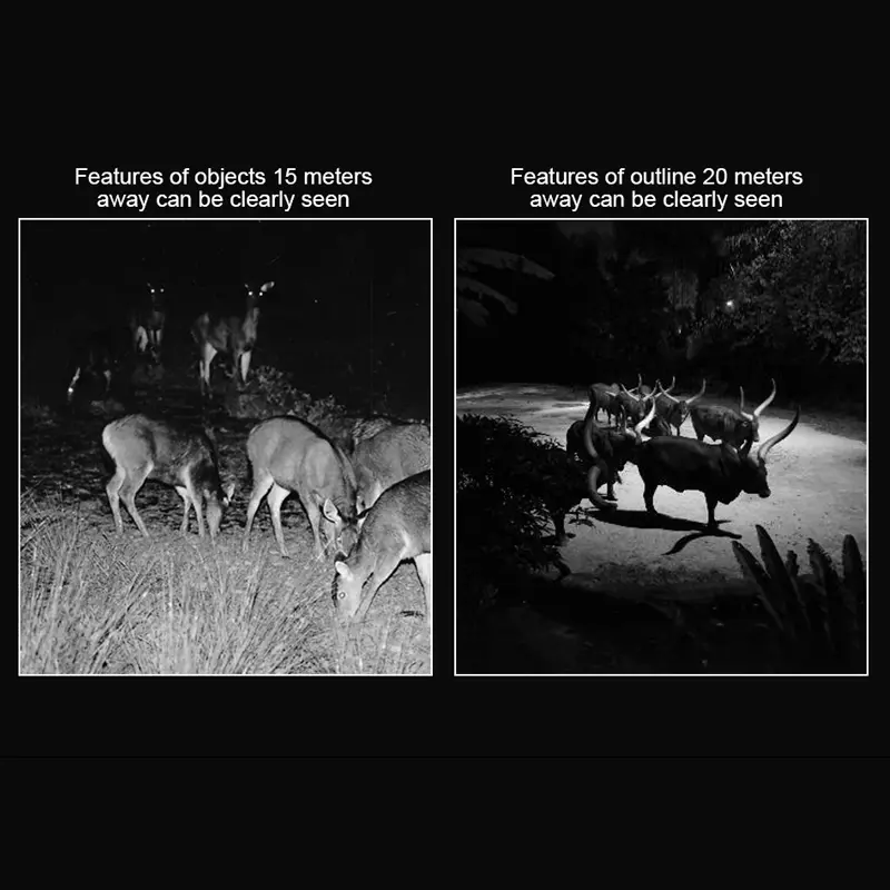 deer trail camera