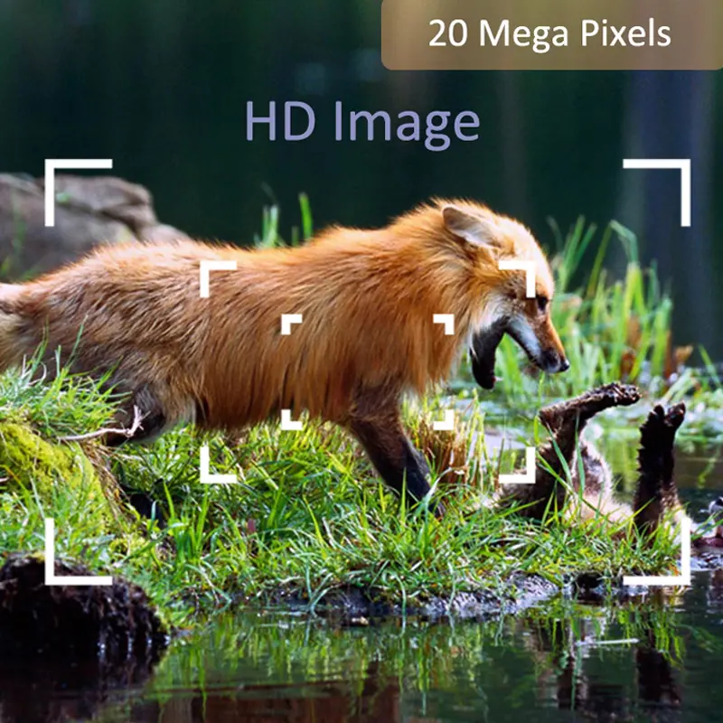 deer trail camera